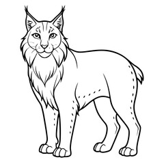 Cartoon lynx illustration standing on four legs and looking