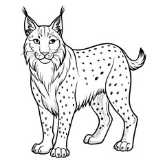 Detailed lynx illustration in black and white outline style