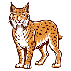 Illustration of a wild Lynx standing alert on white