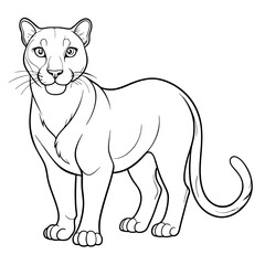 Detailed outline drawing of a standing cougar or puma