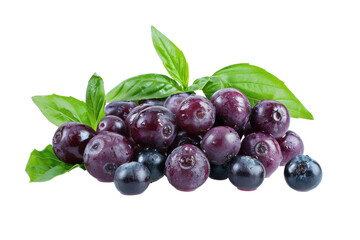 Fototapeta premium Fresh blueberries and vibrant basil leaves beautifully arranged on a clean white surface, capturing the essence of healthy living isolated on transparent background