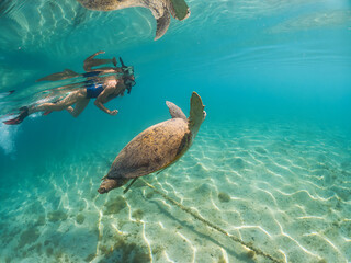 Snorkelling in Marsa Mubarak, Egypt, young woman swimming above green sea turtle
