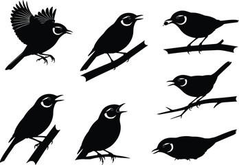 Bird silhouette vector set, perched birds, flying bird, eye ring detail, branch pose, minimal black design, wildlife clipart, nature illustration