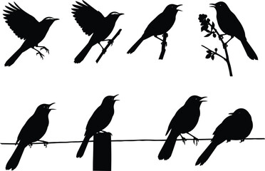 Bird silhouettes vector set, flying birds, perched birds, singing birds, black bird shapes, nature elements, wire perch, floral branch, minimal style