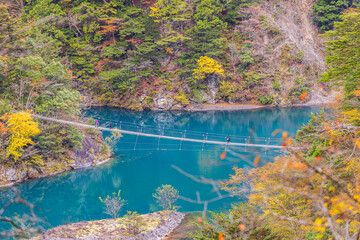 Autumn scenery of the Dream Suspension Bridge in Sumata Gorge, Shizuoka Prefecture