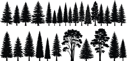 Tree silhouette collection, coniferous and deciduous trees, forest icons, foliage shapes, nature design, vector illustration, black graphic, editable art © Md Shahedul