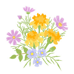Vector colorful floral illustration with cosmos and marigold flowers on white background. Perfect for greeting cards, invitations, autumn and summer designs.