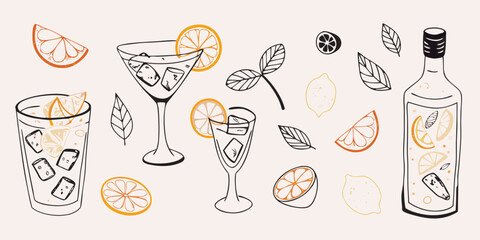 Hand drawn illustration of refreshing citrus cocktails and ingredients with ice and orange slices