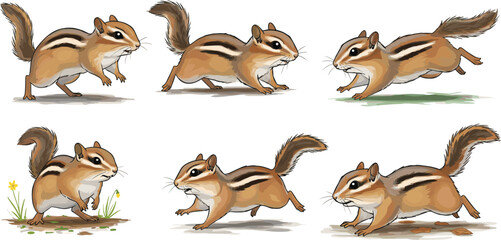 Chipmunk illustration set, running and leaping poses, wildlife animal drawing, nature inspired artwork, forest creature design, dynamic movement character collection