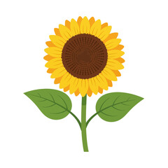 Illustration of a sunflower with yellow petals, brown center, green stem and leaves.