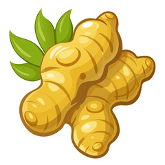 Fresh ginger root with green leaves vector illustration for healthy food and spice concept