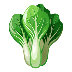 Fresh bok choy vegetable nutrition facts health benefits recipes cooking tips and information guide