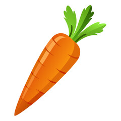 Isolated vector illustration of fresh carrot vegetable healthy food ingredient for cooking diet plan