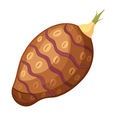 Illustration of taro root vegetable with brown skin and wavy purple lines and small spots