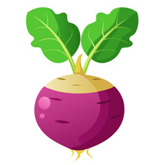 Illustration of a fresh turnip vegetable with green leaves and purple root for healthy eating