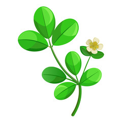 Browse beautiful brahmi bacopa monnieri images and pictures of water hyssop plant with flower