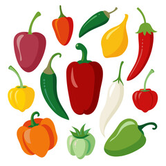 Fototapeta premium Colorful bell peppers and chili peppers vector illustration for healthy food and cooking designs