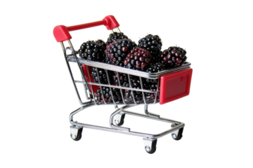 A mini shopping cart filled with fresh blackberries on a clean white background inviting a sense of whimsy and delightful indulgence isolated on transparent background