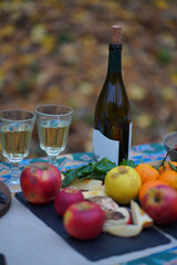 Picknic in the fairy beatiful forest in autumn