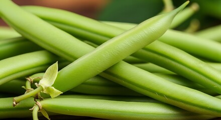 Obraz premium Fresh green beans with delicate blossom vegetable garden
