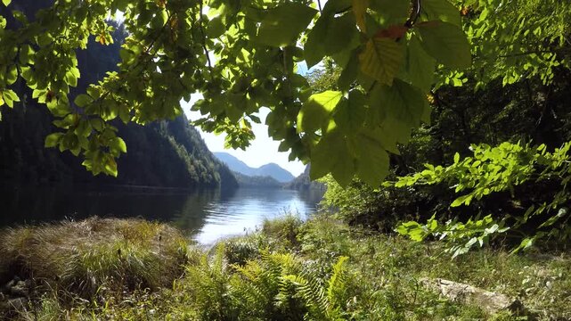 View of the Lake Toplitzsee, Salzkammergut, Styria, Austria 