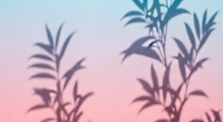Shadows of plants on a pink and blue gradient background