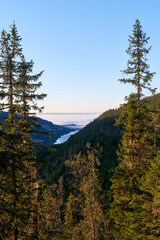 View of the Skjeppsjøen Lake from the Svartdalstjerna Primeval Forest Nature Reserve of the Totenåsen Hills, Norway, in September 2025.
