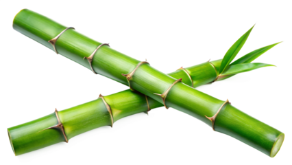 Two crossed bamboo stalks with vibrant green leaves, isolated on transparent background, creating a visually appealing and balanced composition of natural elements