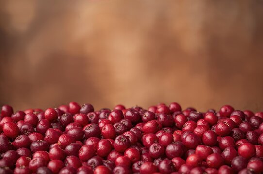 Vibrant red berries on a natural backdrop