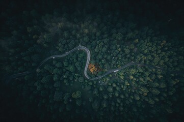 Winding pathway through a vast expanse of shadows. Aerial Drone Perspective. Journey into nature's wilds.