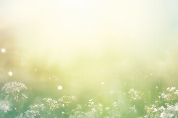 Obraz premium Light and airy spring texture featuring white blossoms on a creamy green backdrop