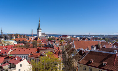 Obraz premium Beautiful aerial view of Tallinn old town. Medieval city in Northen Europe. The capital of Estonia. Beautiful Tallinn on a summer day