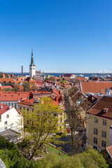 Fototapeta premium Beautiful aerial view of Tallinn old town. Medieval city in Northen Europe. The capital of Estonia. Beautiful Tallinn on a summer day