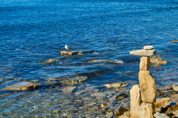 A seagull rests on rocks near the coastline, a funny stone figure on the beach, a bright sunny day poster about ecosystems and a background for the interior about nature and the sea