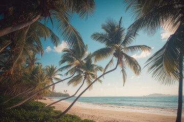 Tropical palm trees lining a sunny beach with clear sky and water
