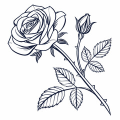 Blooming rose bud and stem flower leaves