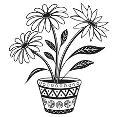 Potted daisies with decorative pot daisy flower