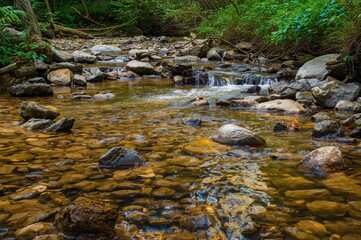 Vibrant Stones Flowing in a Creek