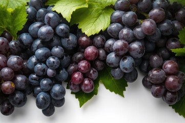 Fototapeta premium Bunches of Mature Grapes with Foliage, Set Against a White Backdrop