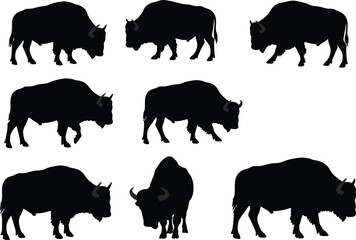 Set of black bison silhouettes in walking, grazing, and standing poses, ideal for wildlife vector design, clipart, and educational use.
