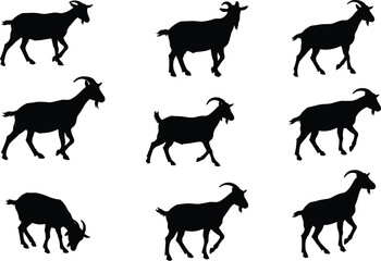 Set of black goat silhouettes in various poses, ideal for farm animal vector design, clipart, livestock artwork, and educational use.