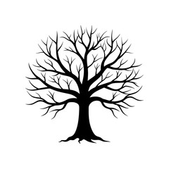 Obraz premium Silhouette of a bare branched tree on transparent background