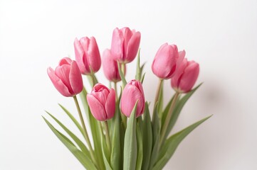Fototapeta premium Holiday greeting card featuring a bunch of pink tulips on a pale backdrop