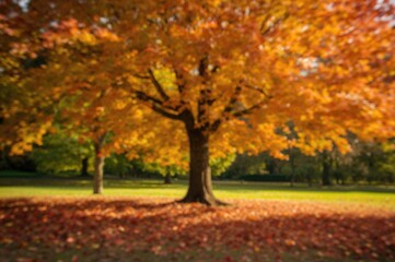 Naklejka premium Golden October day outdoors with sunlit autumn leaves and a blurred scenic landscape, featuring a vibrant tree and ample advertising space on the leafy ground