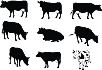 Set of cow illustrations in black silhouette and full-color style, ideal for farm animal vector design, clipart, and educational use.