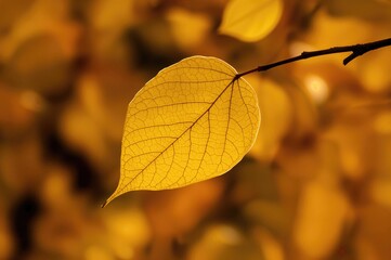 Obraz premium Close-up of a vibrant yellow fall leaf as the backdrop