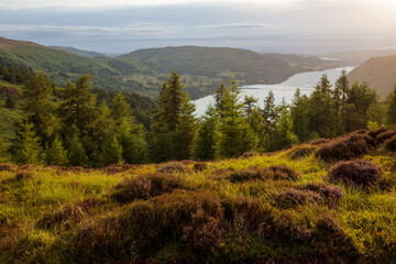 Sheffield Pike Early Morning in the Lake District looking over Ullswater