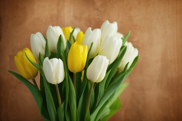 Naklejka premium Arrangement of yellow and white tulips. Greeting card. Backdrop