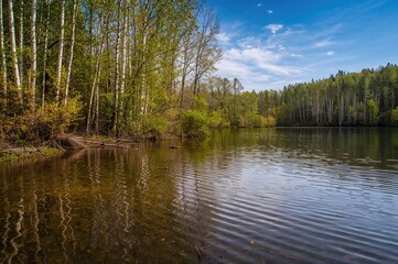 Obraz premium Images of a Water Body, Origin, and Birch Woods. A lake is a water-filled depression encircled by terrain, except for any streams or drainage channels.
