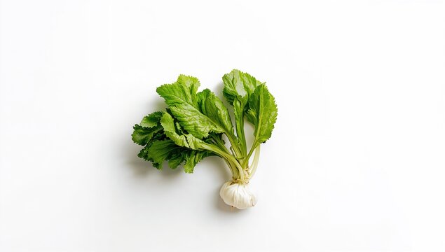 Leafy fresh vegetable set against a plain white background